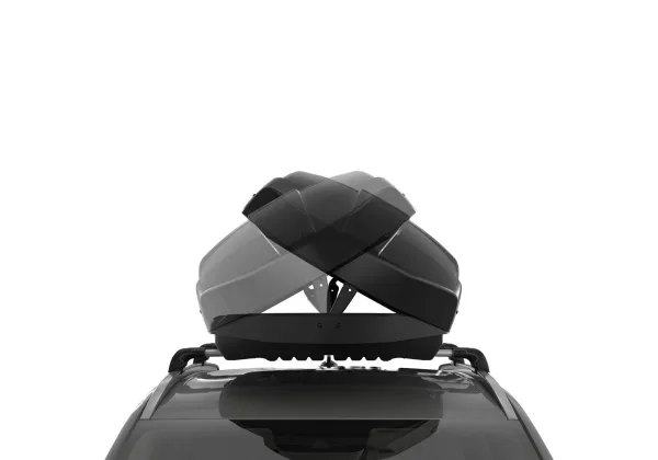 stogo bagazine thule xt l nuoma